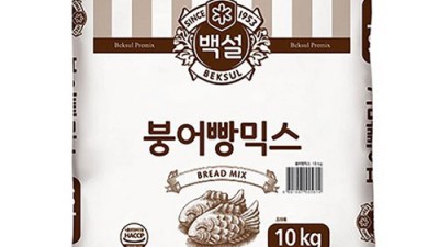 겉바속촉! 붕어빵후라이팬인덕션 득템 후기🐟 (꿀팁 대방출)